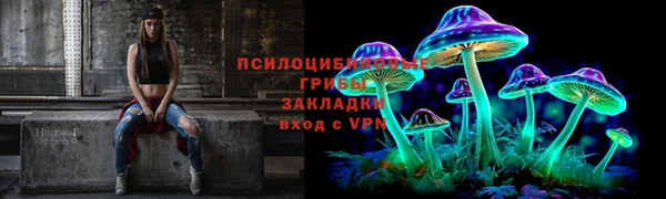 МДПВ Верея