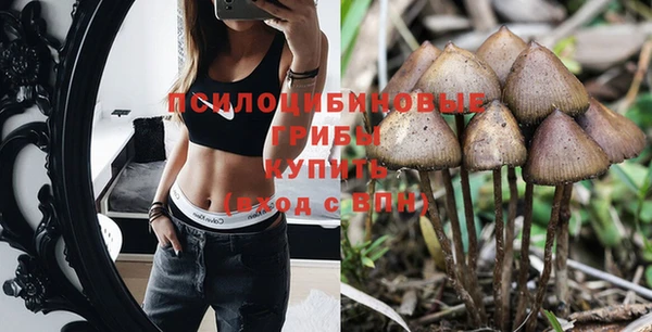 бошки Верхнеуральск