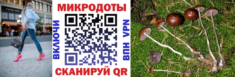Галлюциногенные грибы мицелий Курск