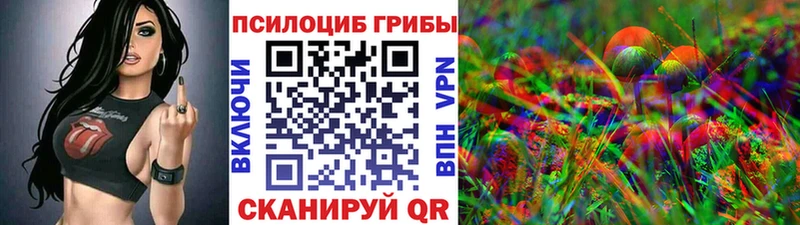 Псилоцибиновые грибы GOLDEN TEACHER  купить   Курск 